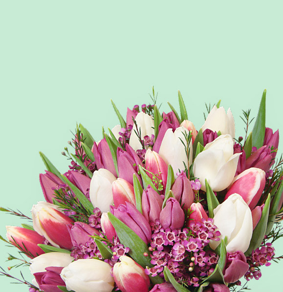 Flower Delivery London Same Day Flowers Delivered