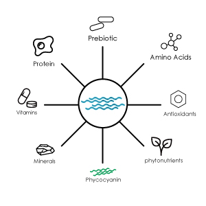 spirulina-complete-food.jpg