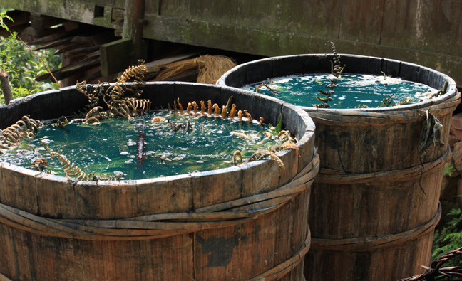 hand processing of indigo (qingdai)