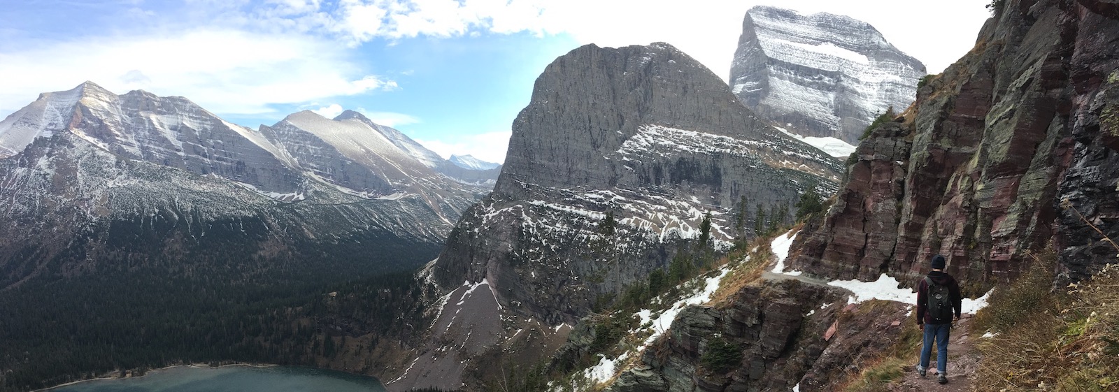 Custom Wood Screen Doors
