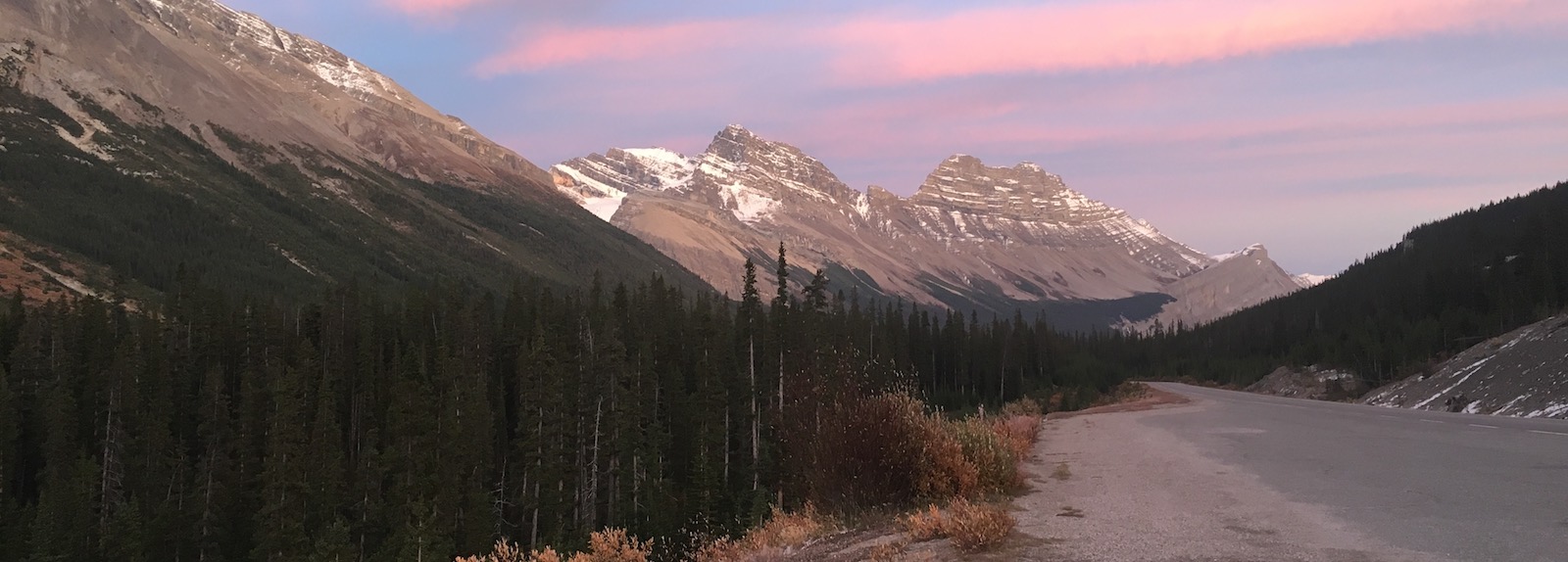Custom Wood Screen Doors