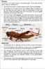Grasshopper Dissection Instructions Guide