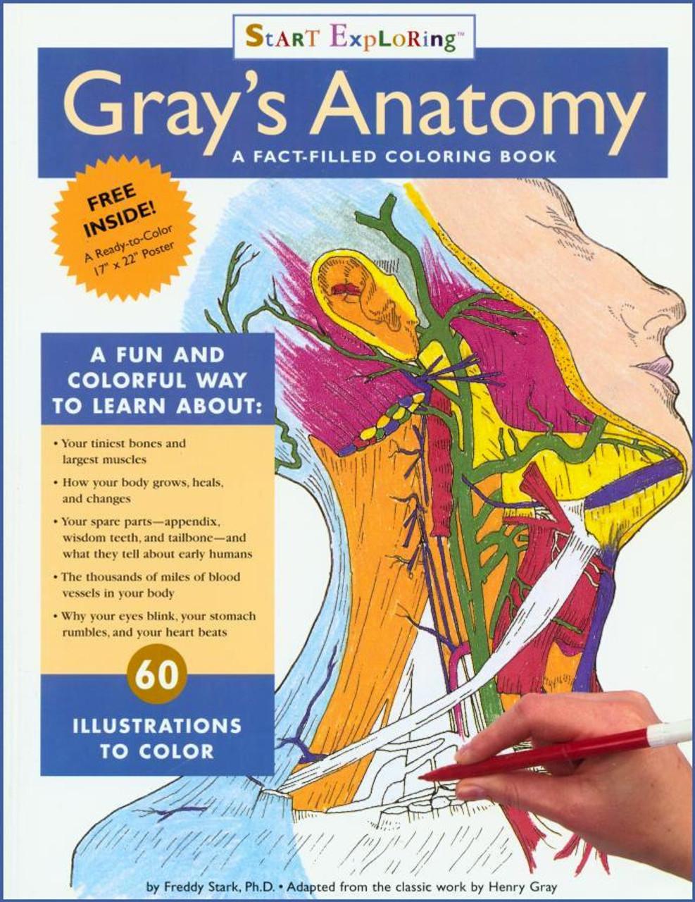 Gray's Anatomy Coloring Book