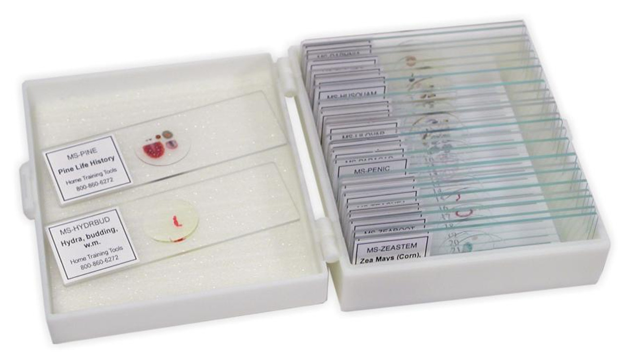 Microscopic Slides Series