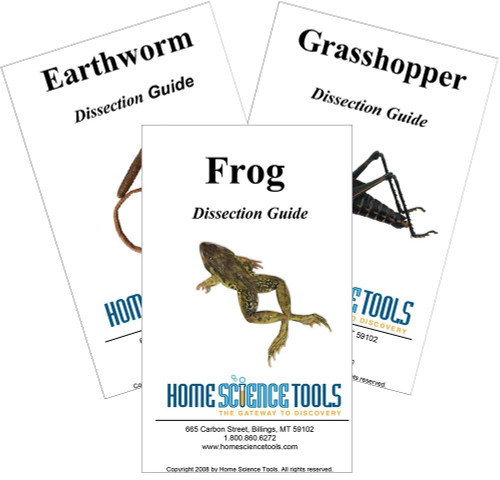 earthworm dissection specimens introductory dissection kit specimens tools guides earthworm dissection specimens introductory dissection kit specimens tools guides