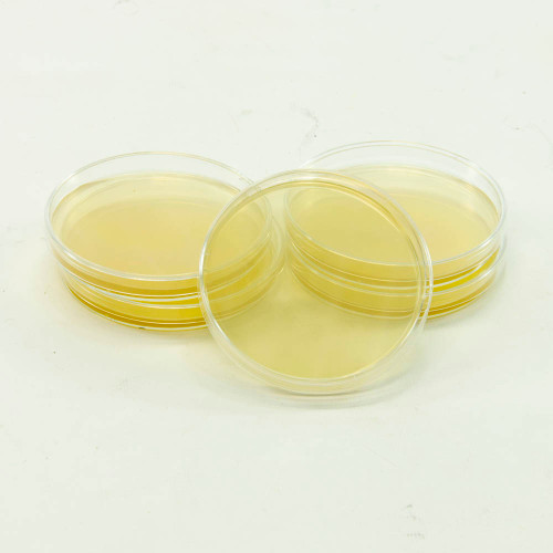 Sterilized Tryptic Soy Agar Prepoured Plates, Prepared Agar Petri Dish Kit