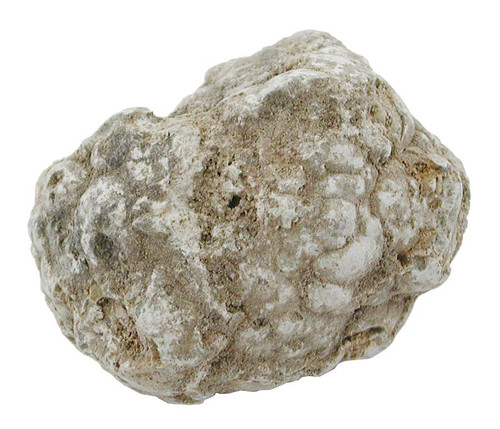 large geode rock crystals 2 inches