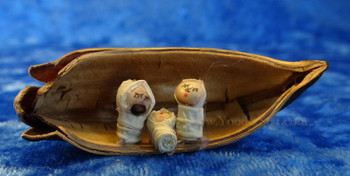 Cocoa Pod Nativity from Ecuador Cocoa Pod Nativity from Ecuador