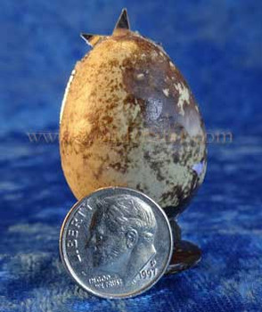 Quail's egg nativity Quail's egg nativity