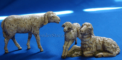 Sheep Family - 5" Fontanini Nativity Animals 51539