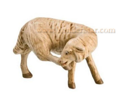 Marolin Nativity Sheep Scratching
