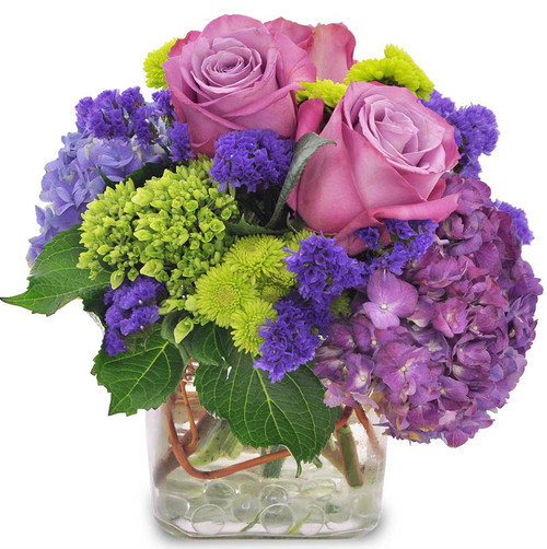 Purple Perfect! Purple Perfect!