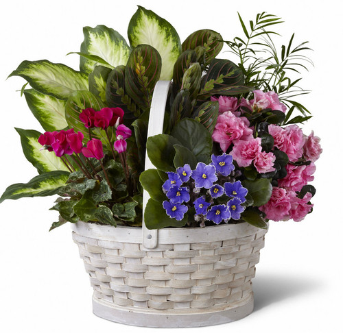 Peaceful Garden Planter Peaceful Garden Planter