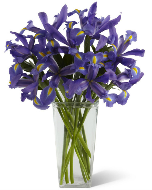 Iris Riches Bouquet Iris Riches Bouquet