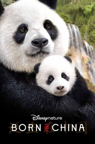 Disney Nature: Born In China