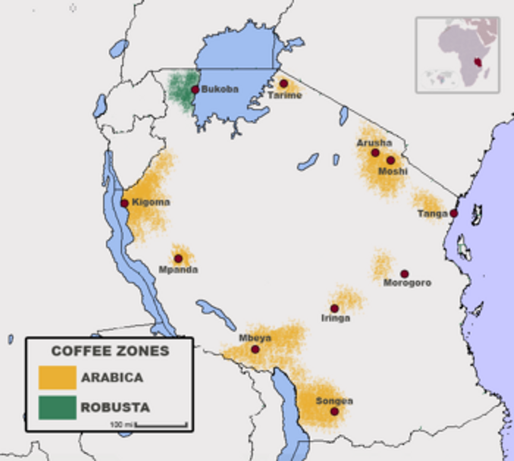 Tanzania Peaberry