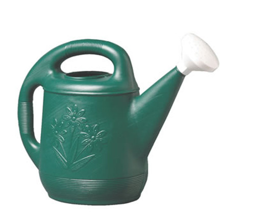Green Plastic Watering Can, 2 Gallon - CountryMax A green plastic watering can, for a fake chinese rubber plant, in the fake plastic earth.