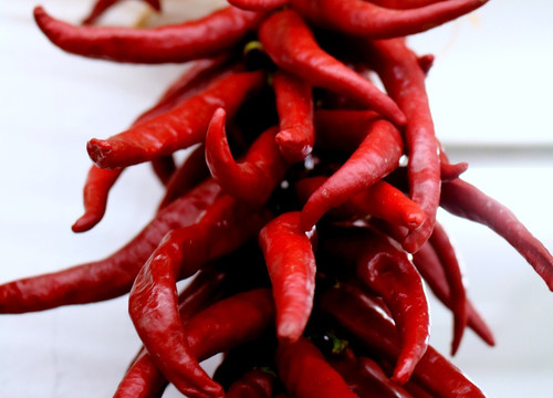 A hot and spicy scent, like an authentic Italian tomato sauce with a kick!