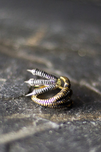 Raptorvale Ring