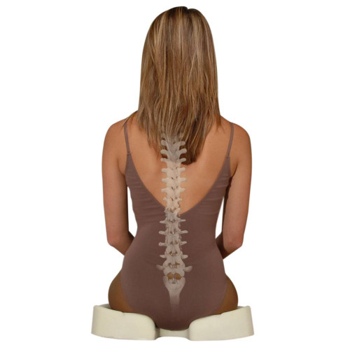 Kabooti Donut Coccyx Relief Cushion Kabooti Donut Coccyx Relief Cushion