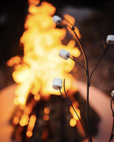 Marshmallow Roasting Art