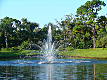 Aquamaster fountain with Augusta Pattern Aquamaster fountain with Augusta Pattern