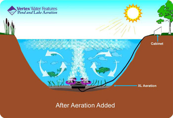 Pond aerator provides top to bottom pond circulation Pond aerator provides top to bottom pond circulation