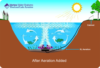 Pond Aeration Schematic Pond Aeration Schematic