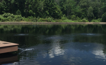 Reflective Black Dyed Pond Reflective Black Dyed Pond