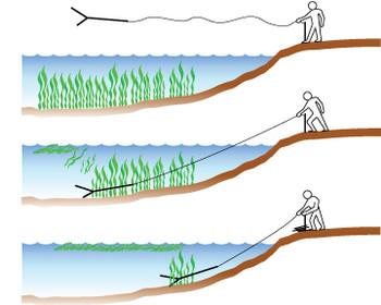 Weed Razor Pro is perfect for cutting submerged pond weeds. Weed Razor Pro is perfect for cutting submerged pond weeds.
