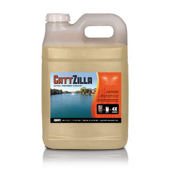 Cattzilla helps cattails fall within 1 to 2 weeks after application Cattzilla helps cattails fall within 1 to 2 weeks after application
