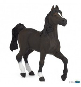 papo arab horse papo arab horse