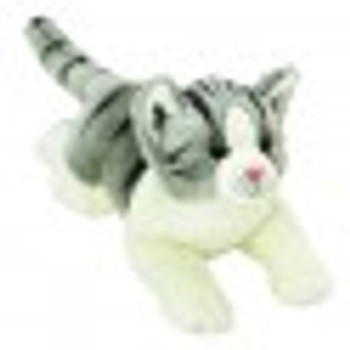 grey white tabby cat grey white tabby cat