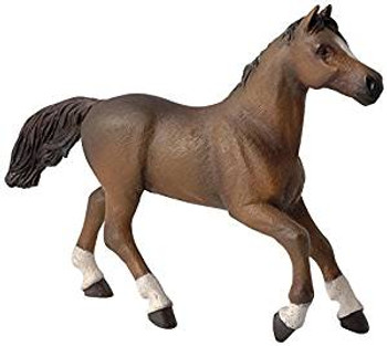 anglo arab mare papo anglo arab mare papo