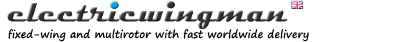 electricwingman-logo.png