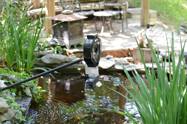 Curated visual reference: Picture Idea: Automatic Fish Feeders For Koi Pond And Aquarium