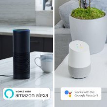 alexa-google-pic.jpg