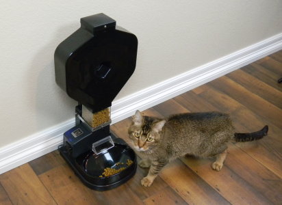 kitty-and-csf-3xl-super-feeder.jpg