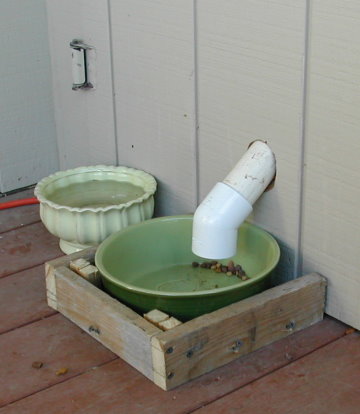 ideas for outdoor auto cat feeder