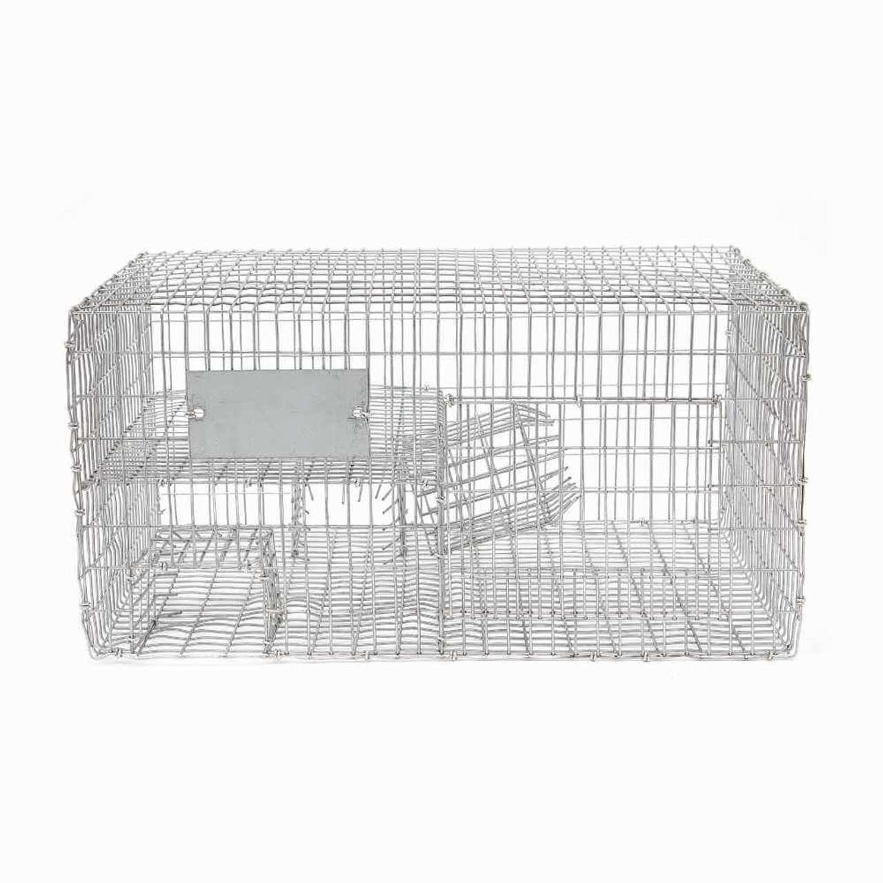 Sparrow Trap | Bird Control Products | Bird B Gone