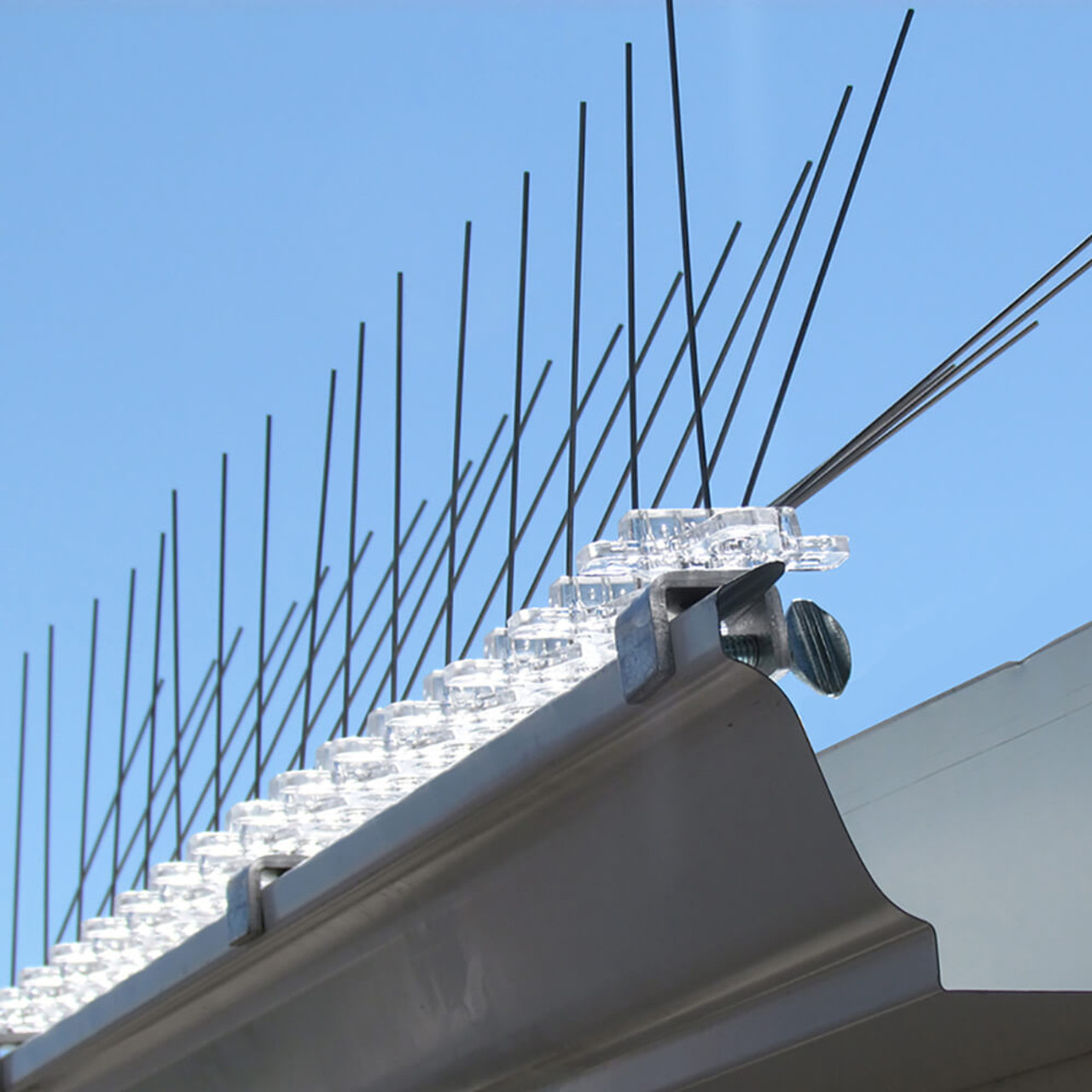 Gutter Bird Spikes Stainless Steel Bird Spikes Bird B Gone