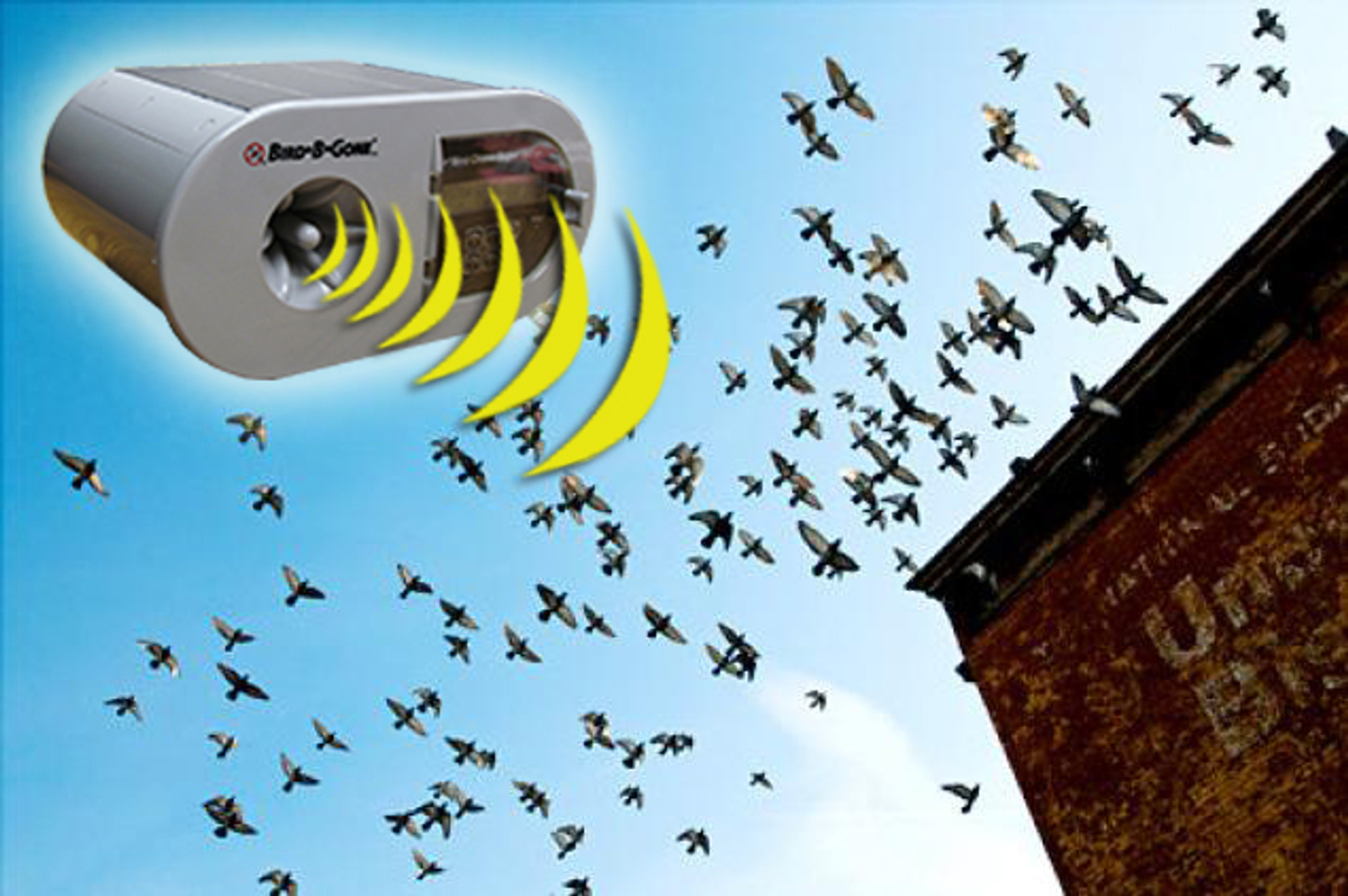 how-to-keep-pest-birds-away-with-sound-bird-deterrents-bird-b-gone-inc