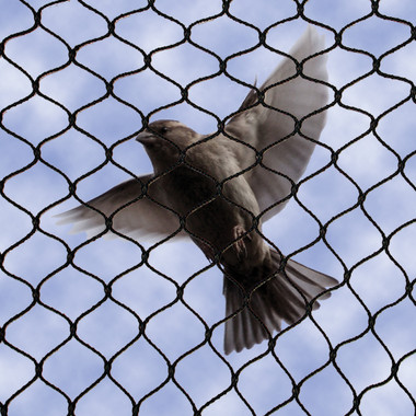 Bird B Gone No Knot Bird Netting blocks pest birds Bird B Gone No Knot Bird Netting blocks pest birds
