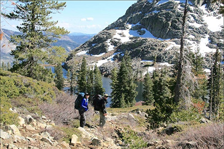 Jillian, an avid sportsman planning to bring her bird hiking