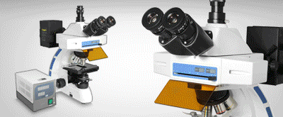 EPI-Fluorescence Microscope, Fluorescence Microscope