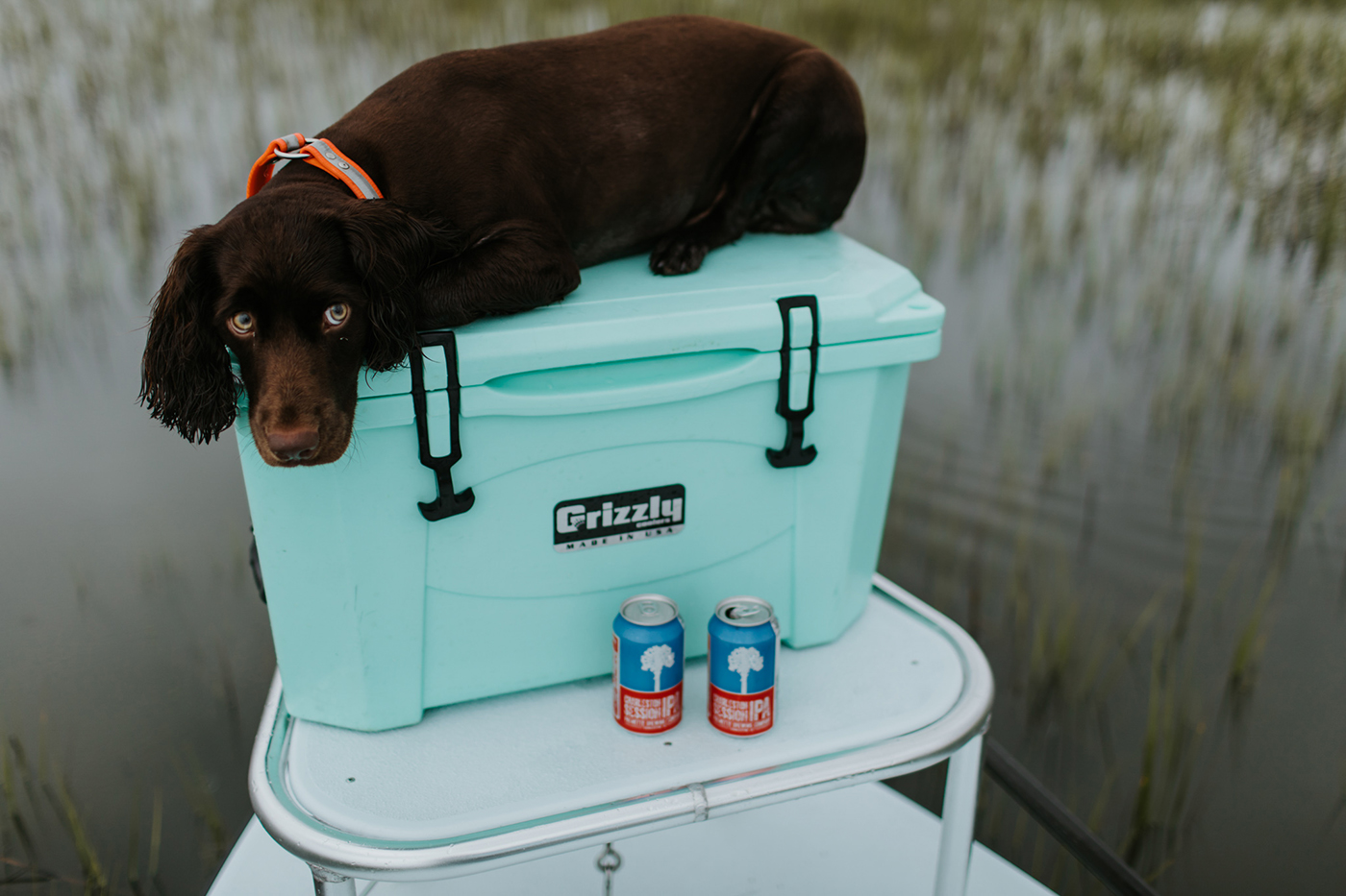 grizzly-coolers-20.jpg grizzly-coolers-20.jpg