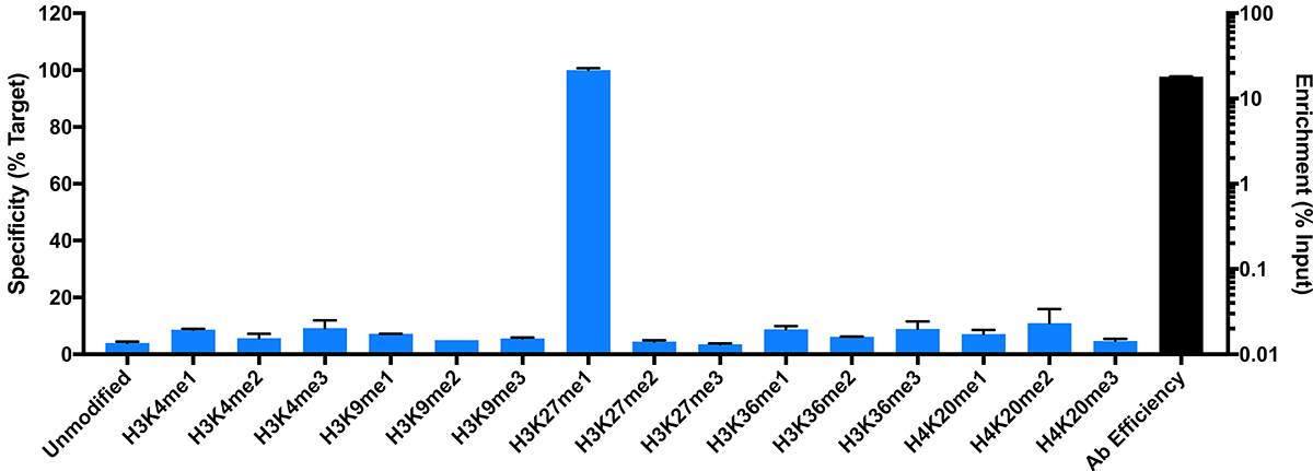 13-0015 SNAP-ChIP Data