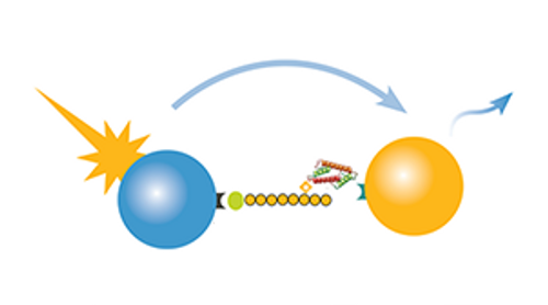dCypher, novel chromatin binding interactions service