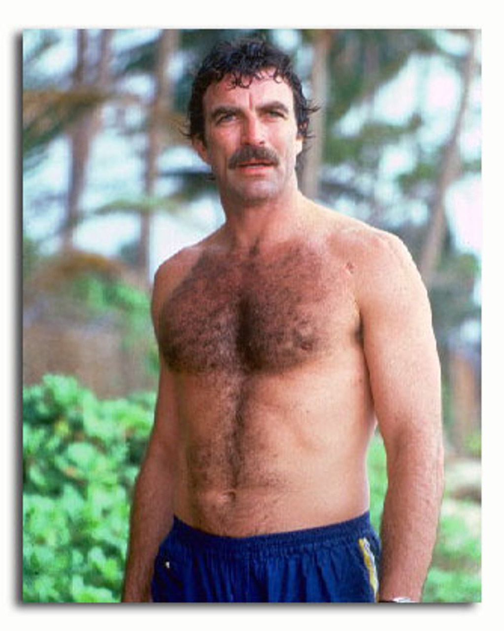 (SS3320759) Movie picture of Tom Selleck buy celebrity photos and ...