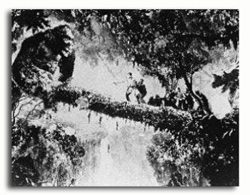 (SS215605) King Kong Movie Photo (SS215605) King Kong Movie Photo